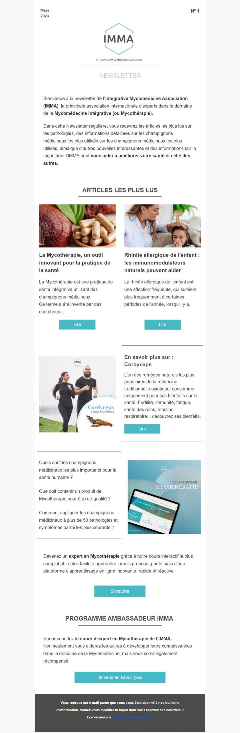 Newsletter IMMA